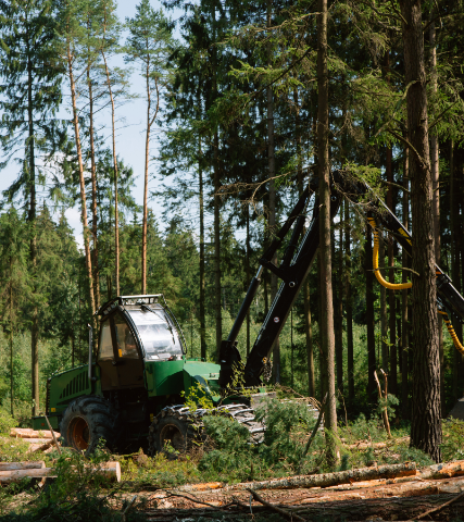 Skärmbild från Skog 24/7