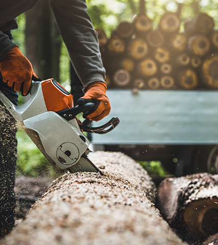 Skärmbild från Skog 24/7