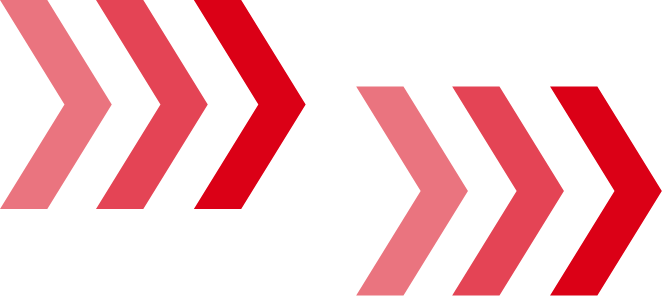 Skog 24/7 fl�de fr�n planering till leverans